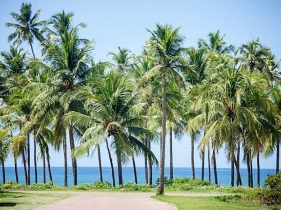 Imagem Terreno à Venda, 700 m² em Praia Do Forte - Mata De São João Imagem Terreno à Venda, 700 m² em Praia Do Forte - Mata De São João