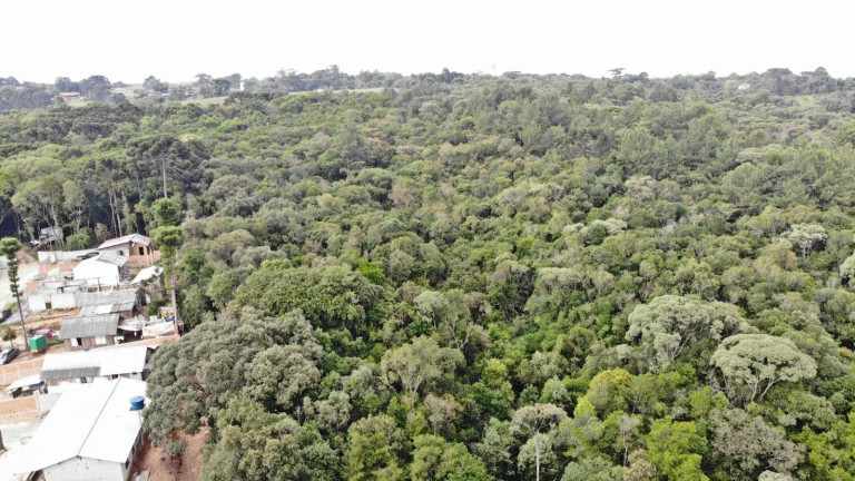 Imagem Terreno à Venda, 19.600 m² em Colônia Faria - Colombo Imagem Terreno à Venda, 19.600 m² em Colônia Faria - Colombo