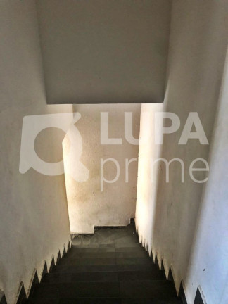 Imagem Casa com 4 Quartos para Alugar, 200 m² em Vila Guilherme - São Paulo Imagem Casa com 4 Quartos para Alugar, 200 m² em Vila Guilherme - São Paulo