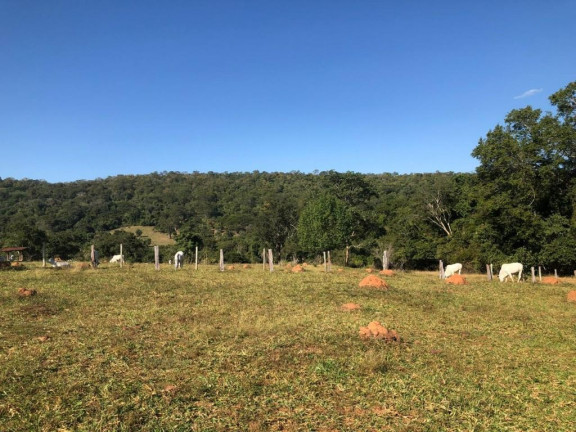 Imagem Fazenda à Venda, 229.899 m² em Centro - Córrego Do Ouro Imagem Fazenda à Venda, 229.899 m² em Centro - Córrego Do Ouro