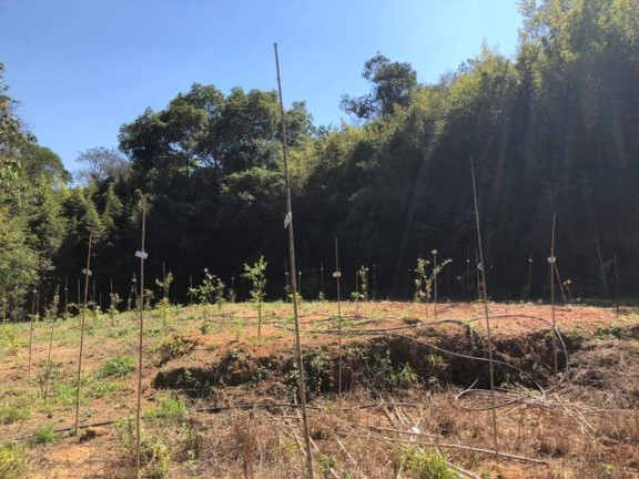 Imagem Terreno à Venda, 5.017 m² em Chácara Das Candeias - Carapicuíba Imagem Terreno à Venda, 5.017 m² em Chácara Das Candeias - Carapicuíba