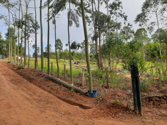 Imagem Chácara à Venda, 20 m² em água Comprida - Bragança Paulista Imagem Chácara à Venda, 20 m² em água Comprida - Bragança Paulista