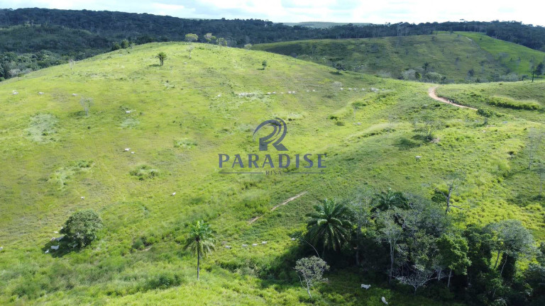 Imagem Fazenda à Venda, 9.750.000 m² em Zona Rural - Itanagra