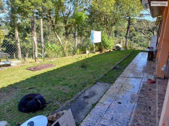 Imagem Chácara à Venda, 8.000 m² em Zona Rural - Quatro Barras Imagem Chácara à Venda, 8.000 m² em Zona Rural - Quatro Barras