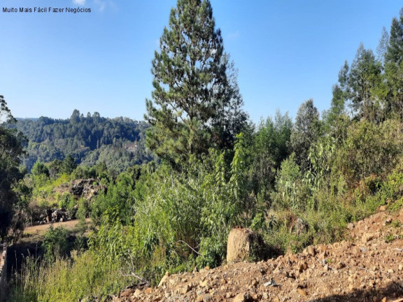Terreno à Venda, 409 m² em Bavaria - Nova Petrópolis