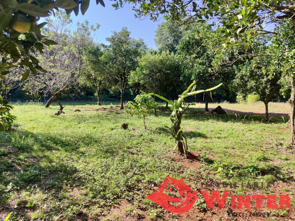 Imagem Chácara com 3 Quartos à Venda, 105 m² em Nova Caxias - Feliz Imagem Chácara com 3 Quartos à Venda, 105 m² em Nova Caxias - Feliz