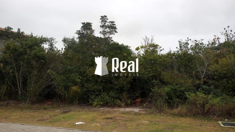 Imagem Terreno à Venda, 700 m² em Praia Do Forte - Mata De São João Imagem Terreno à Venda, 700 m² em Praia Do Forte - Mata De São João