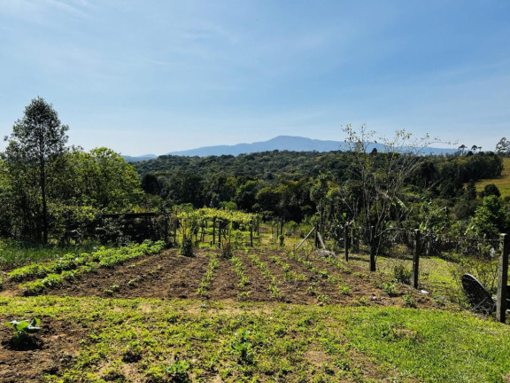 Imagem Chácara à Venda, 6.300 m² em Zona Rural - Tijucas Do Sul Imagem Chácara à Venda, 6.300 m² em Zona Rural - Tijucas Do Sul