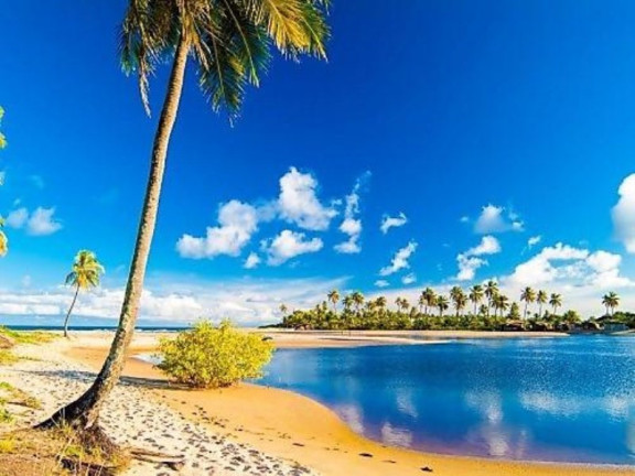 Terreno à Venda, 700 m² em Praia Do Forte - Mata De São João