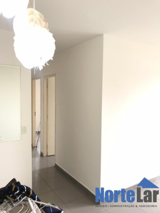 Imagem Apartamento com 2 Quartos à Venda, 50 m² em Vila Roque - São Paulo