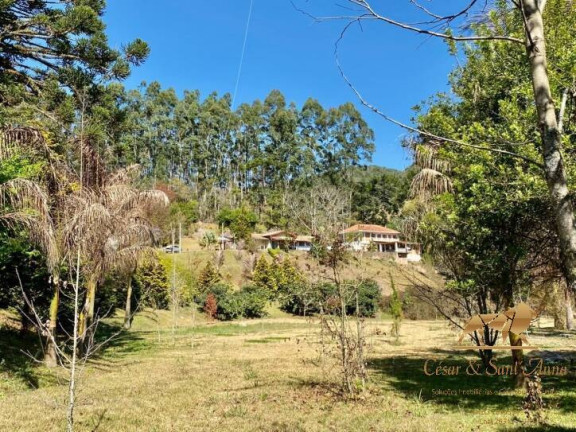 Imagem Chácara com 7 Quartos à Venda, 25.000 m² em Zona Rural - Santo Antônio Do Pinhal Imagem Chácara com 7 Quartos à Venda, 25.000 m² em Zona Rural - Santo Antônio Do Pinhal