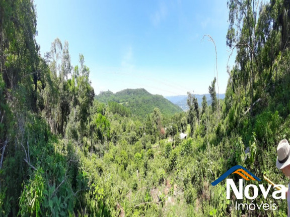 Imagem Imóvel à Venda, em Linha Pirajá Alta - Nova Petrópolis Imagem Imóvel à Venda, em Linha Pirajá Alta - Nova Petrópolis
