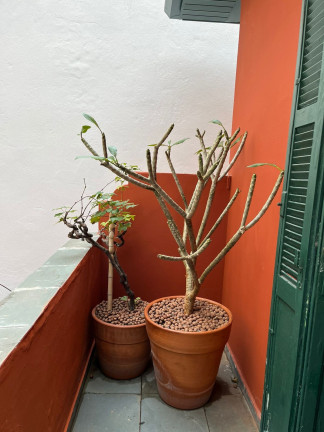 Imagem Casa com 2 Quartos à Venda, 85 m² em Vila Clementino - São Paulo