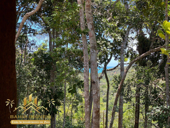 Imagem Casa com 5 Quartos à Venda, 3.000 m² em Arraial D'ajuda - Porto Seguro Imagem Casa com 5 Quartos à Venda, 3.000 m² em Arraial D'ajuda - Porto Seguro