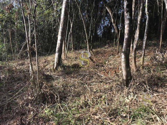 Imagem Terreno à Venda, 1.500 m² em Mairiporã - Mairiporã Imagem Terreno à Venda, 1.500 m² em Mairiporã - Mairiporã