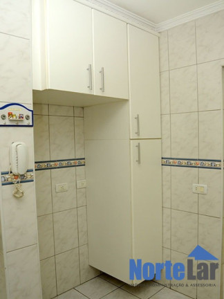 Imagem Apartamento com 3 Quartos à Venda, 75 m² em Vila Amélia - São Paulo