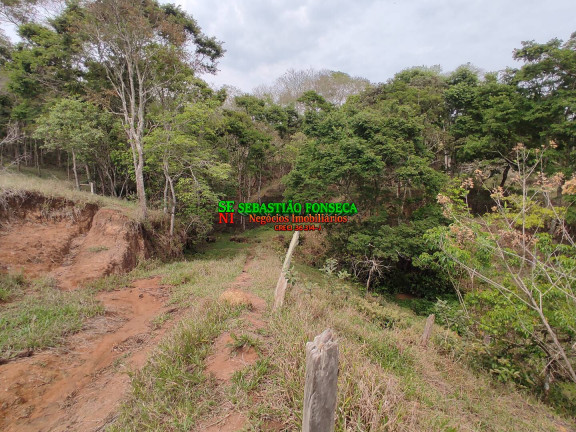 Imagem Chácara com 2 Quartos à Venda, 20.000 m² em área Rural De Caçapava - Caçapava Imagem Chácara com 2 Quartos à Venda, 20.000 m² em área Rural De Caçapava - Caçapava