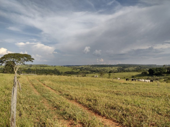 Imagem Imóvel à Venda, 10 m² em área Rural De Avaí - Avaí Imagem Imóvel à Venda, 10 m² em área Rural De Avaí - Avaí