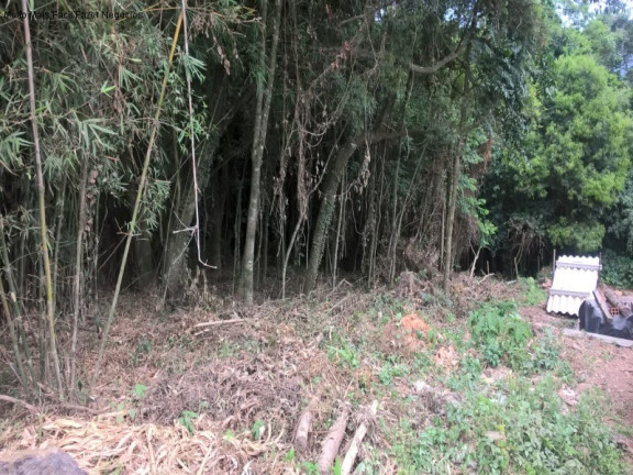 Imagem Terreno à Venda, 394 m² em Linha Olinda - Nova Petrópolis Imagem Terreno à Venda, 394 m² em Linha Olinda - Nova Petrópolis