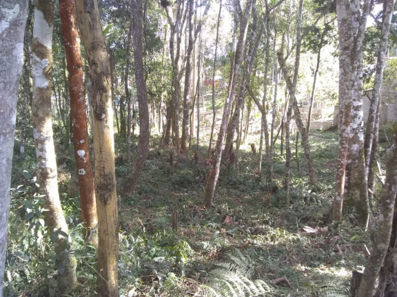 Imagem Terreno à Venda, 1.889 m² em Caputera - Cotia Imagem Terreno à Venda, 1.889 m² em Caputera - Cotia