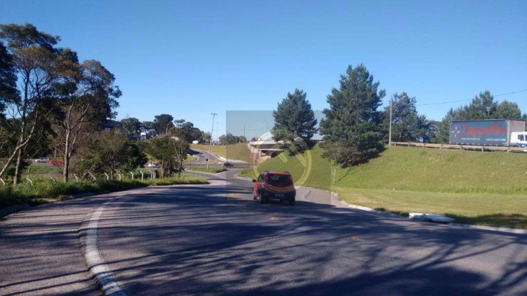 Terreno à Venda, 73.418 m² em Colônia Rio Grande - São José Dos Pinhais