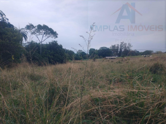 Imagem Terreno à Venda, 7.000 m² em Mateus Leme