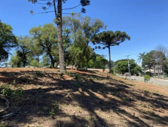 Imagem Terreno à Venda, em Cidade Industrial - Curitiba Imagem Terreno à Venda, em Cidade Industrial - Curitiba
