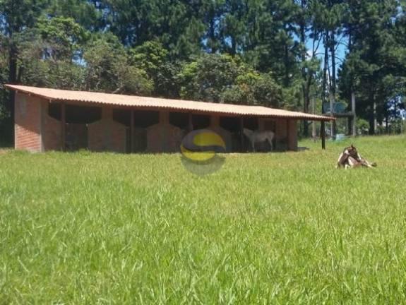 Imagem Chácara com 2 Quartos à Venda, 21.250 m² em Jardim Brasília - Mairinque Imagem Chácara com 2 Quartos à Venda, 21.250 m² em Jardim Brasília - Mairinque