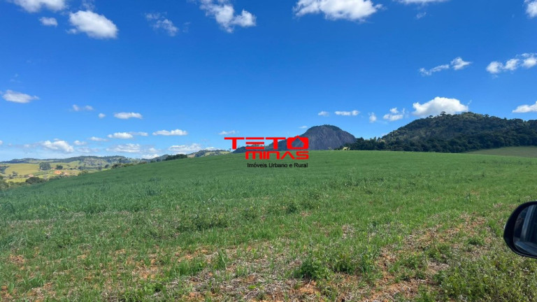 Imóvel à Venda,  em Zona Rural De Zona Rural De Ipuiuna - São Lourenço