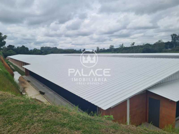 Imagem Fazenda à Venda, 12.000 m² em Zona Rural - Conchas Imagem Fazenda à Venda, 12.000 m² em Zona Rural - Conchas