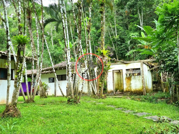 Imagem Casa com 3 Quartos à Venda, 1.000 m² em Boiçucanga - São Sebastião
