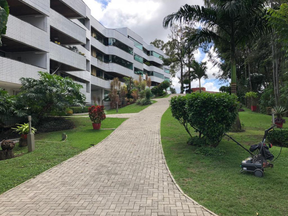 Imagem Apartamento com 4 Quartos à Venda, 200 m² em Apipucos - Recife Imagem Apartamento com 4 Quartos à Venda, 200 m² em Apipucos - Recife