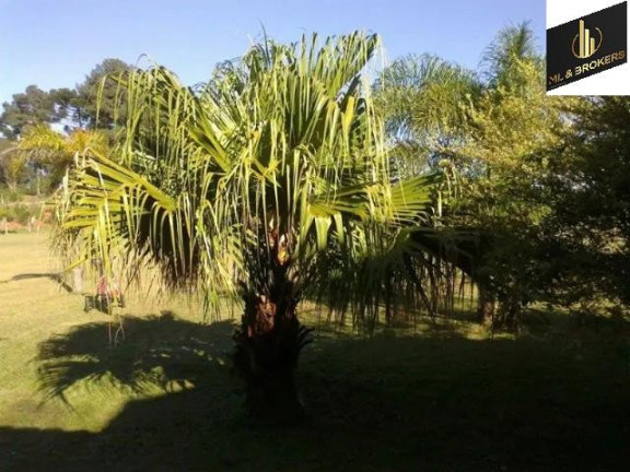 Imagem Casa com 3 Quartos à Venda, 220 m² em Bom Pastor - Campo Magro Imagem Casa com 3 Quartos à Venda, 220 m² em Bom Pastor - Campo Magro