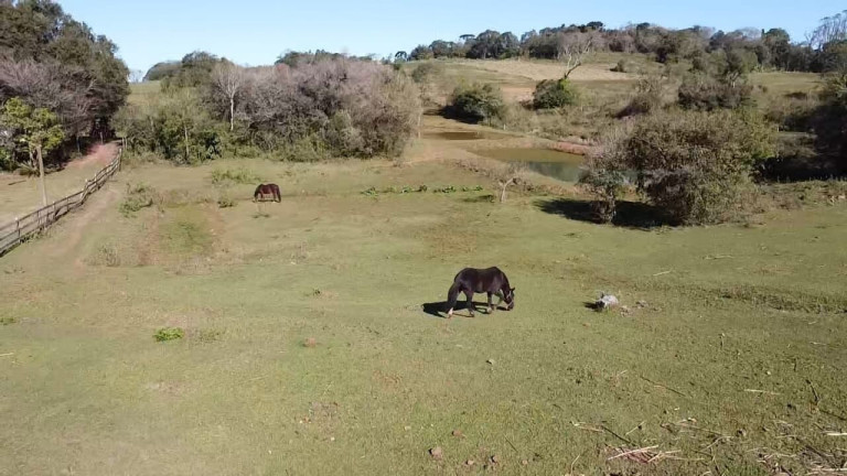 Imagem Chácara à Venda, 49.733 m² em Centro - Santa Cruz Do Sul