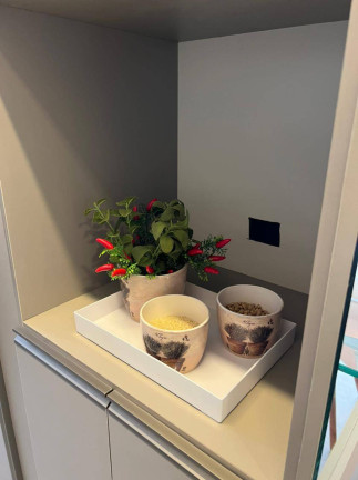 Imagem Apartamento à Venda, 34 m²