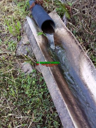 Imagem Chácara à Venda, 20.000 m² em São Silvestre (são Silvestre) - Jacareí Imagem Chácara à Venda, 20.000 m² em São Silvestre (são Silvestre) - Jacareí