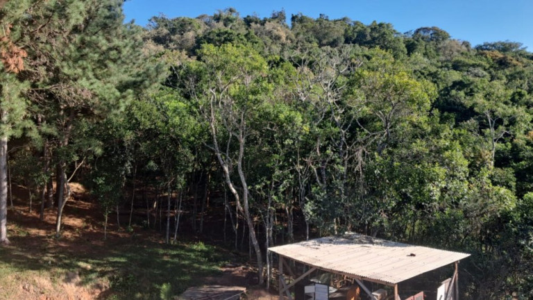 Imagem Imóvel com 6 Quartos à Venda, 151 m² em Central - Glorinha Imagem Imóvel com 6 Quartos à Venda, 151 m² em Central - Glorinha