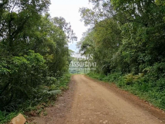 Imagem Imóvel à Venda, 50 m² em Centro - São Francisco De Paula Imagem Imóvel à Venda, 50 m² em Centro - São Francisco De Paula