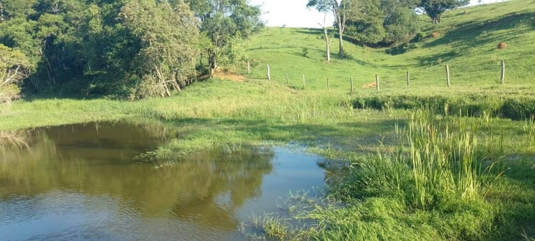 Terreno à Venda, 9.000 m² em Aleluia - Cesário Lange