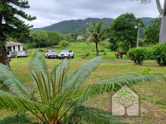 Imagem Imóvel com 3 Quartos à Venda, 12.272 m² em Vargem Grande - Florianópolis