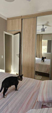 Imagem Apartamento com 2 Quartos à Venda, 62 m² em Vila Belmiro - Santos Imagem Apartamento com 2 Quartos à Venda, 62 m² em Vila Belmiro - Santos