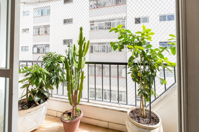 Imagem Apartamento com 4 Quartos à Venda ou Locação, 400 m² em Jardim Paulista - São Paulo Imagem Apartamento com 4 Quartos à Venda ou Locação, 400 m² em Jardim Paulista - São Paulo