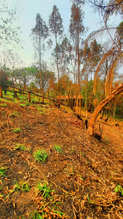 Imagem Imóvel à Venda, 700 m² em Jardim Estância Brasil - Atibaia Imagem Imóvel à Venda, 700 m² em Jardim Estância Brasil - Atibaia