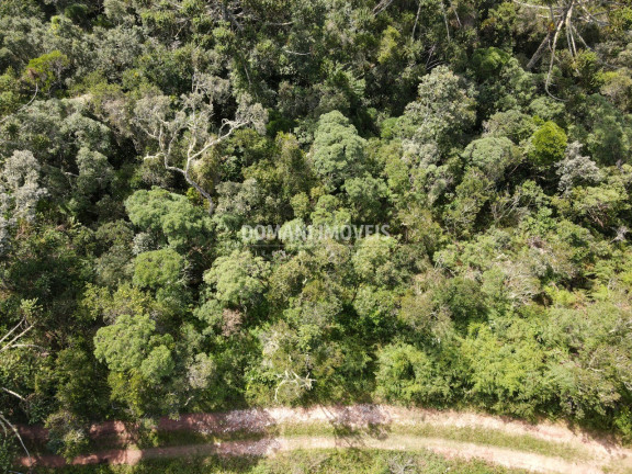 Imagem Terreno à Venda, 5.100 m² em Região Do Atalaia - Campos Do Jordão Imagem Terreno à Venda, 5.100 m² em Região Do Atalaia - Campos Do Jordão