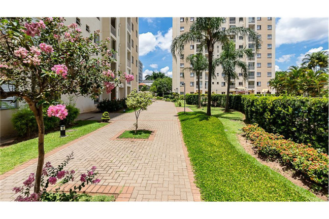 Imagem Apartamento com 3 Quartos à Venda, 65 m² em água Branca - São Paulo Imagem Apartamento com 3 Quartos à Venda, 65 m² em água Branca - São Paulo