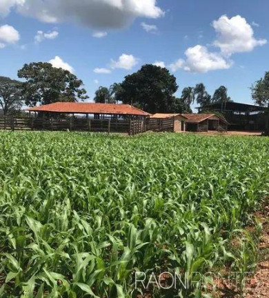 Imagem Fazenda à Venda, 5.620.000 m² em Zona Rural - Jaraguá Imagem Fazenda à Venda, 5.620.000 m² em Zona Rural - Jaraguá