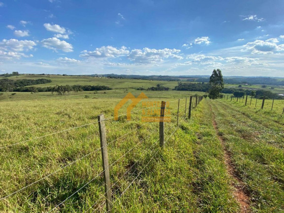 Imagem Fazenda à Venda, 290.400 m² em Vale San Fernando - Itapetininga Imagem Fazenda à Venda, 290.400 m² em Vale San Fernando - Itapetininga