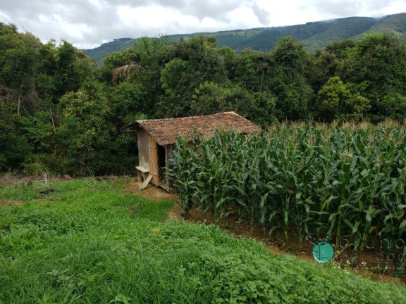 Imagem Imóvel com 1 Quarto à Venda, 60.000 m² em Zona Rural - Alfredo Wagner