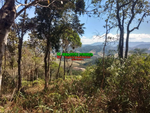 Chácara à Venda, 30.000 m² em Centro - Monteiro Lobato
