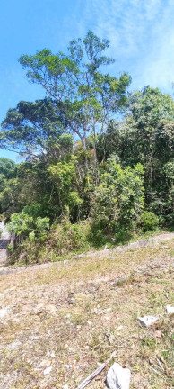 Imagem Terreno à Venda, 423 m² em Morrinhos - Bombinhas Imagem Terreno à Venda, 423 m² em Morrinhos - Bombinhas
